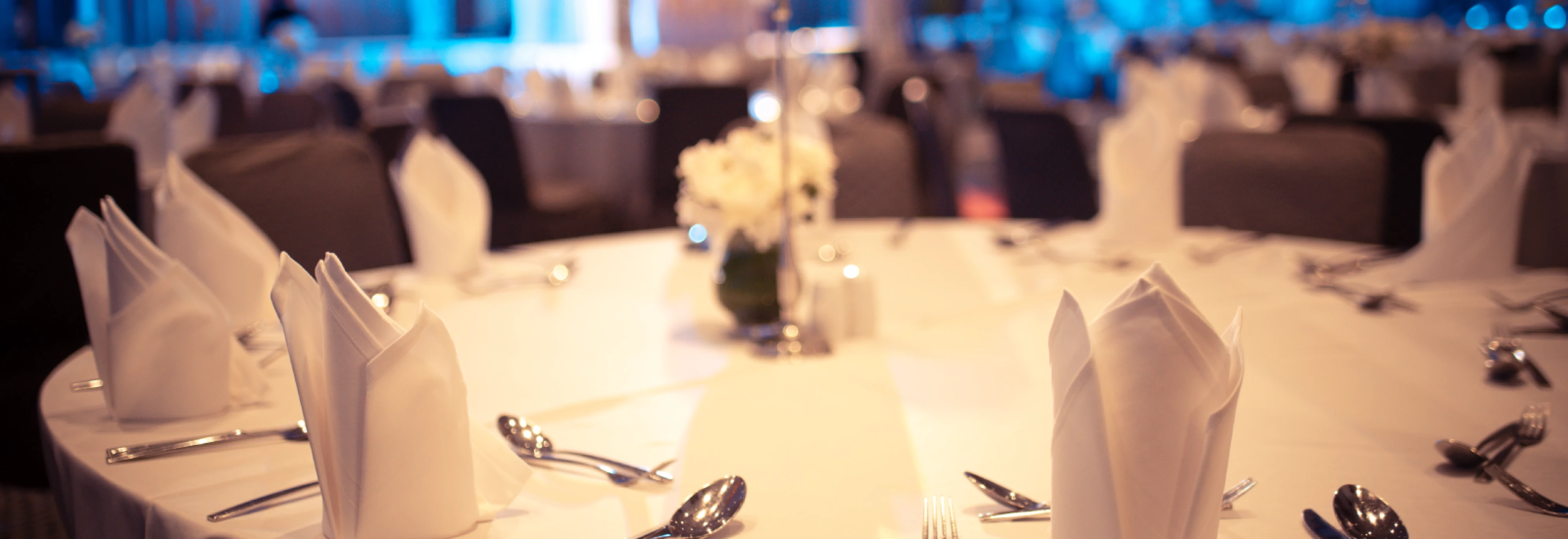 IMS-LAC-Survirors_2405_Banner