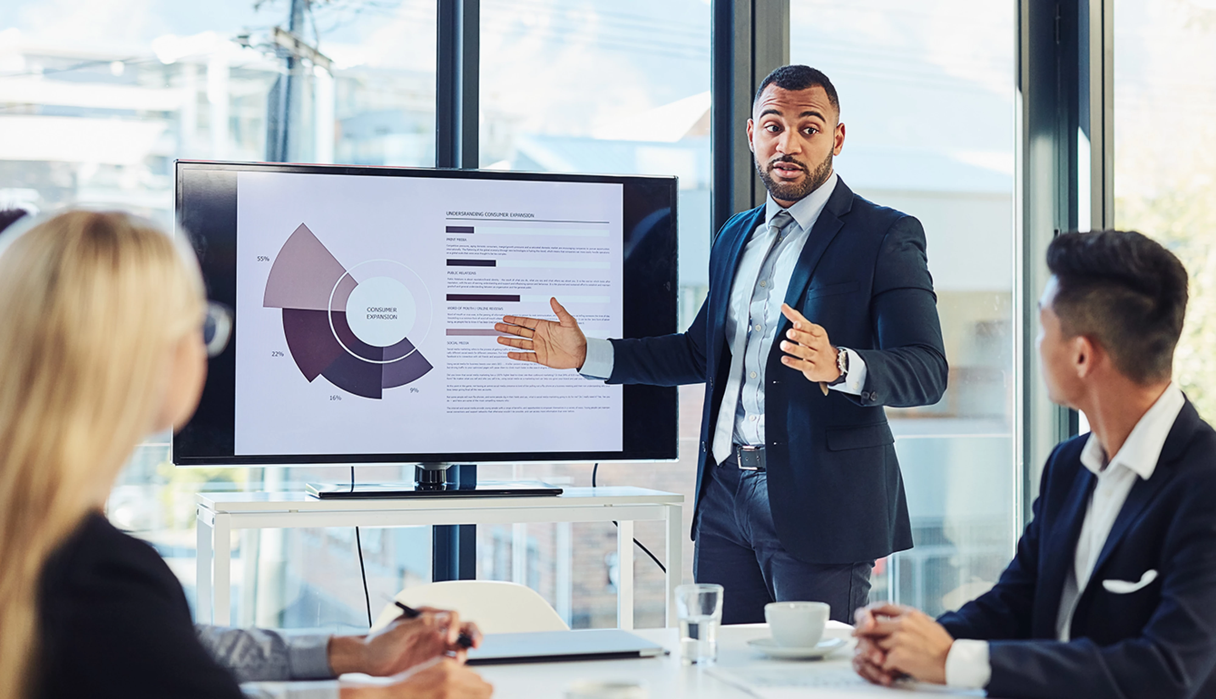 IMS-Litigation-Analytics_2501