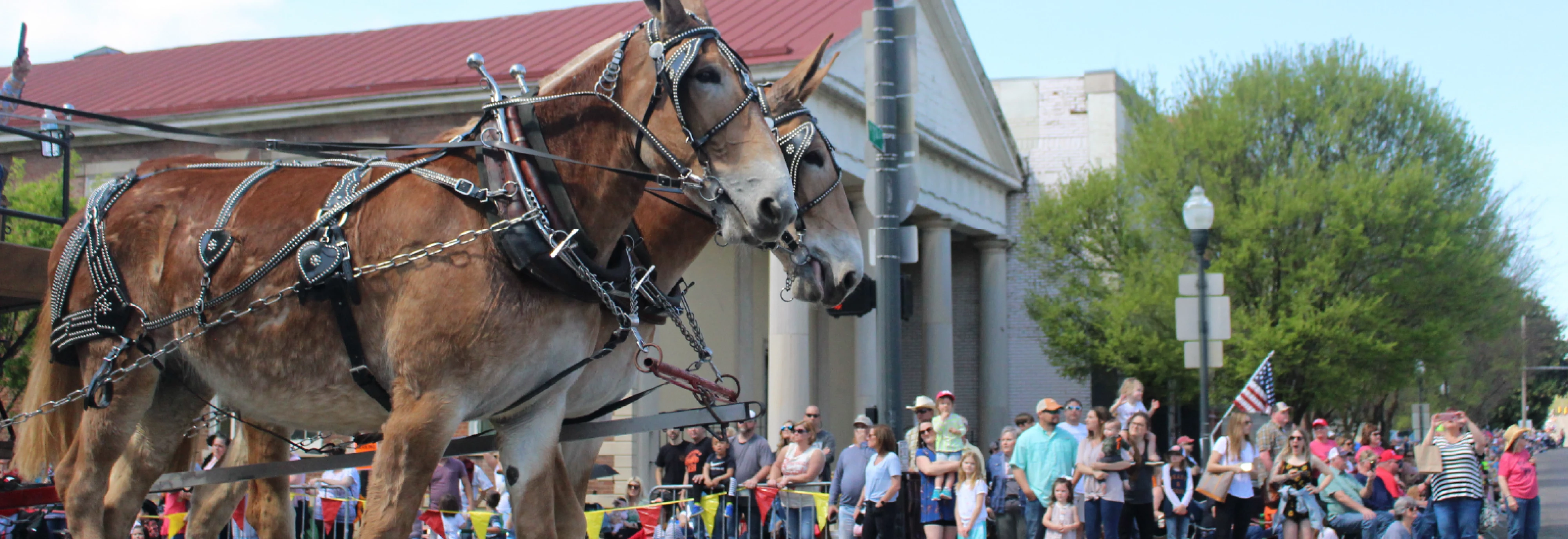 IMS_FWPA-Patron-Parade_2504_Banner