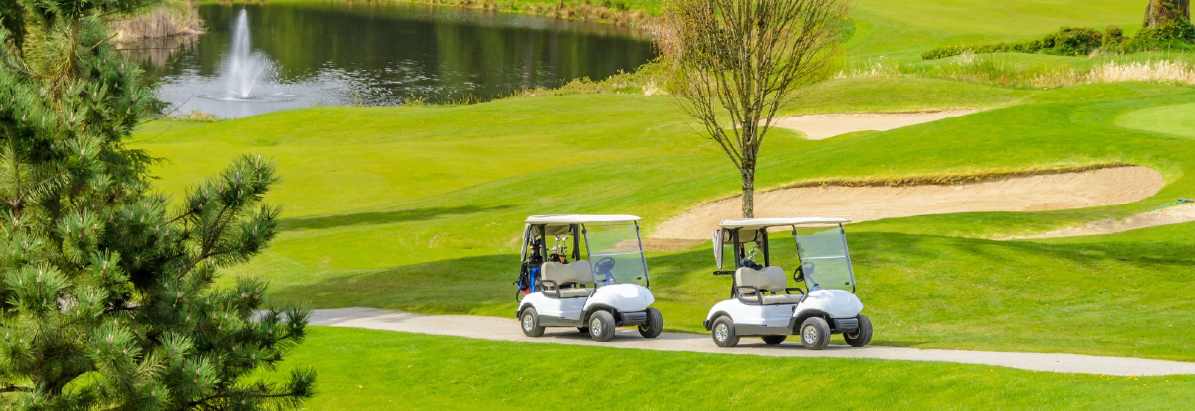 IMS-SCDTAA-Golf-Classic_2509_Banner