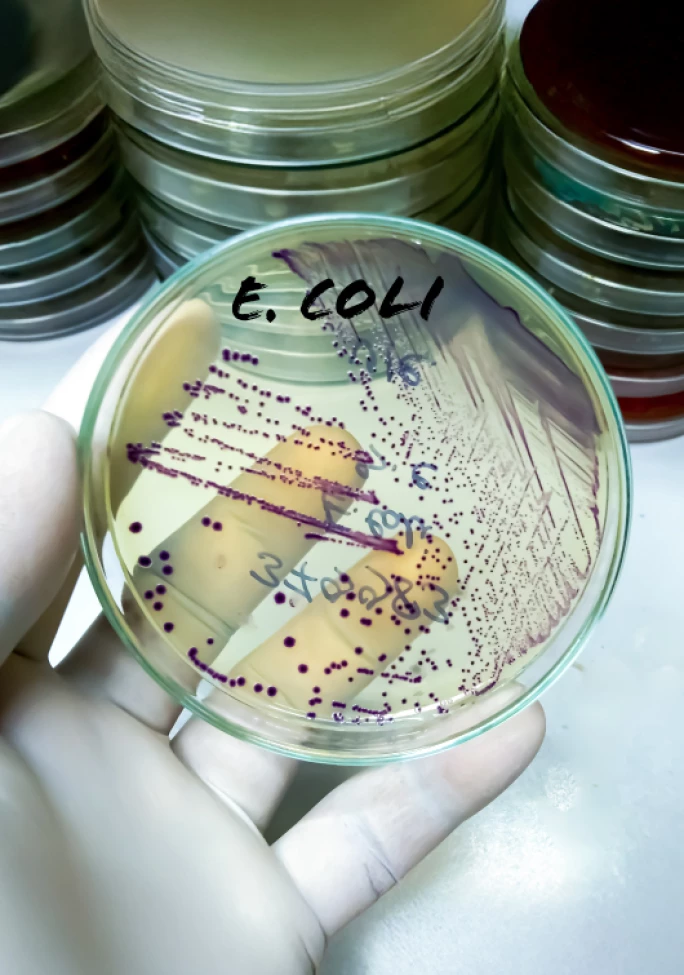 SM-IMS-Food-Safety-Technology_2509_Preview