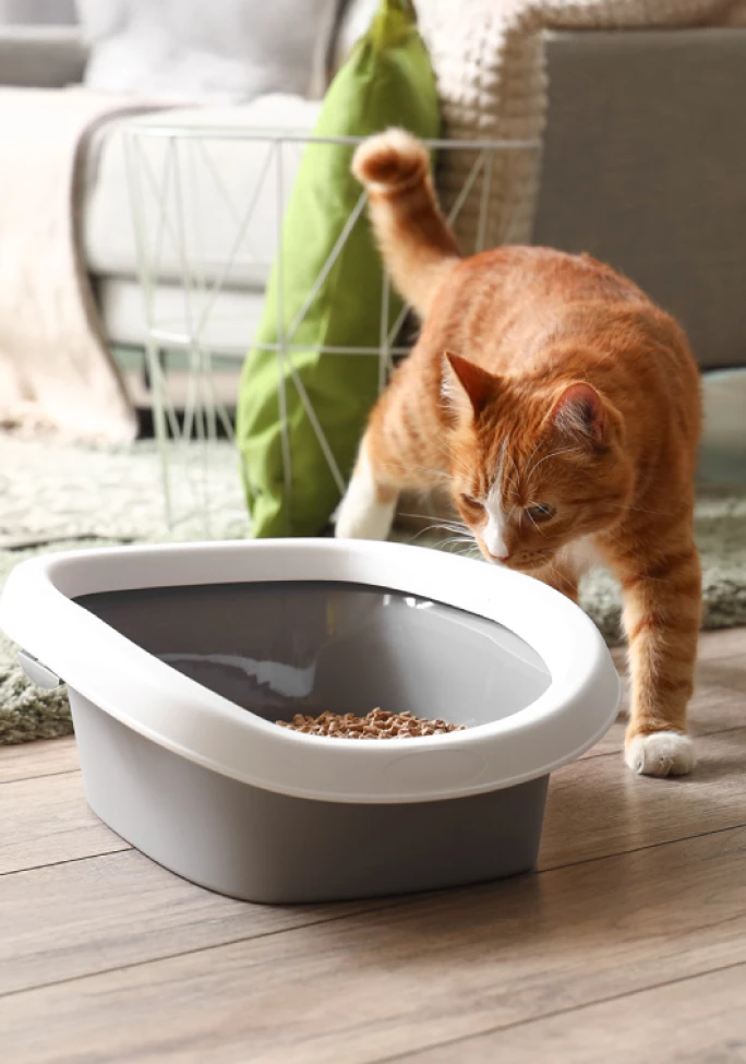 Comparative-Advertising-Claims-Cause-a-Legal-Cat-Fight_2512_Preview