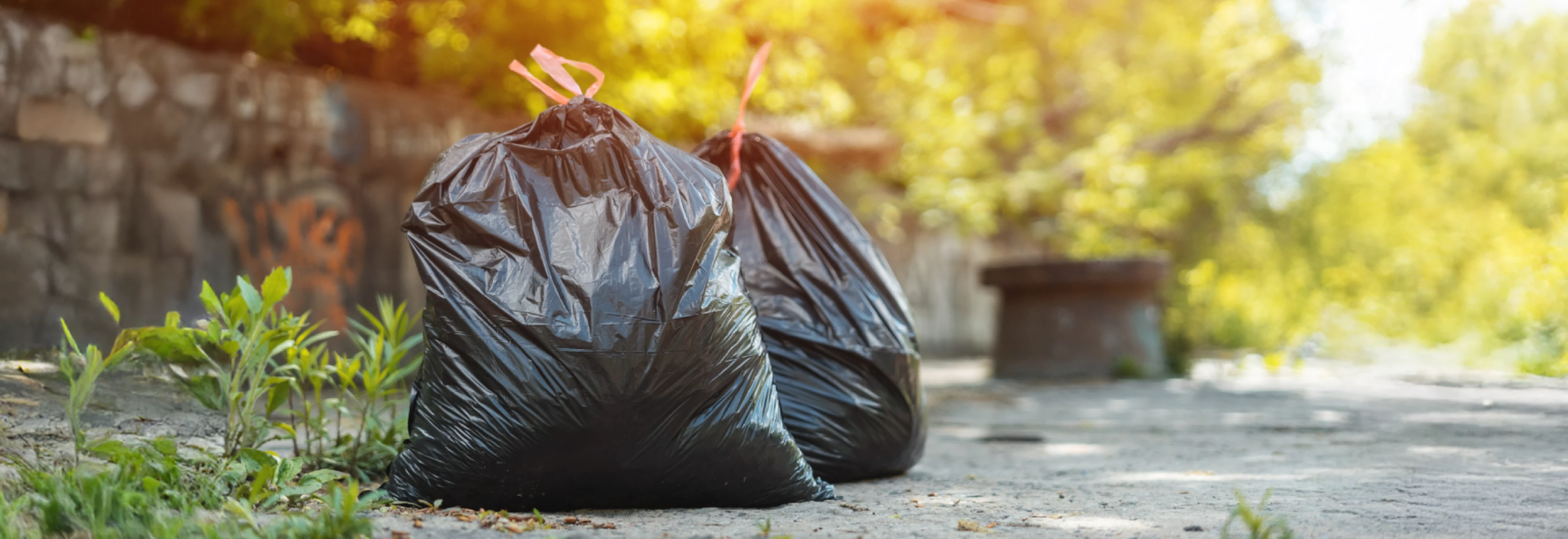 Green-Claims-Banner_2601