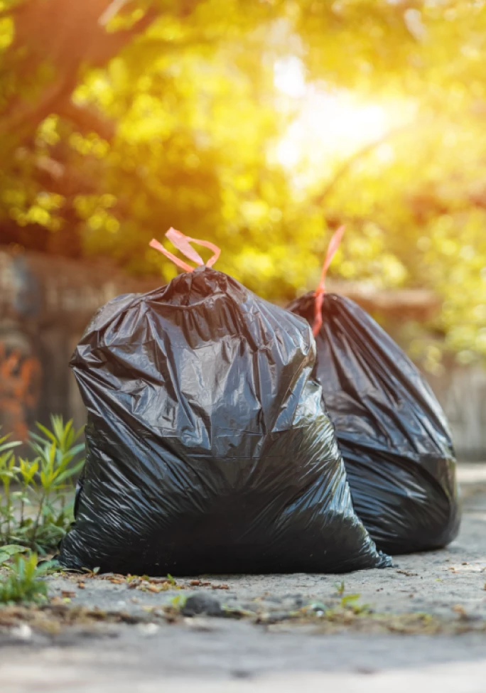 Green-Claims-Preview_2601