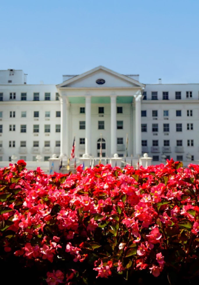 Preview-Event-Writeup-VTLA_2602