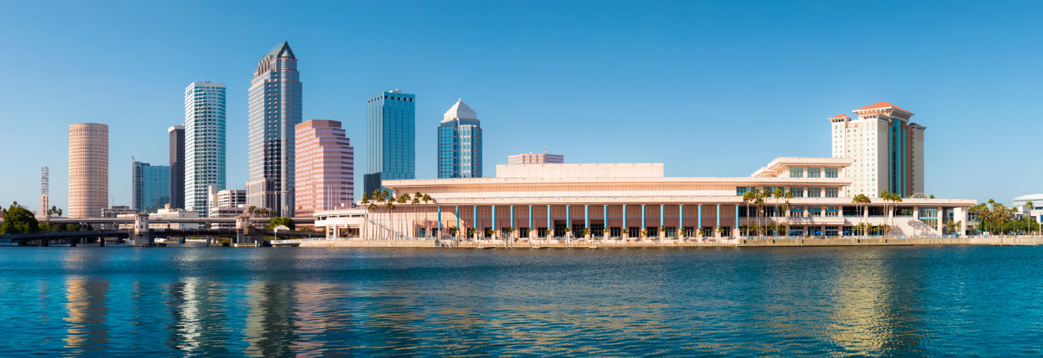 IMS_Connect-Tampa-Bay-Conference_2604_Banner