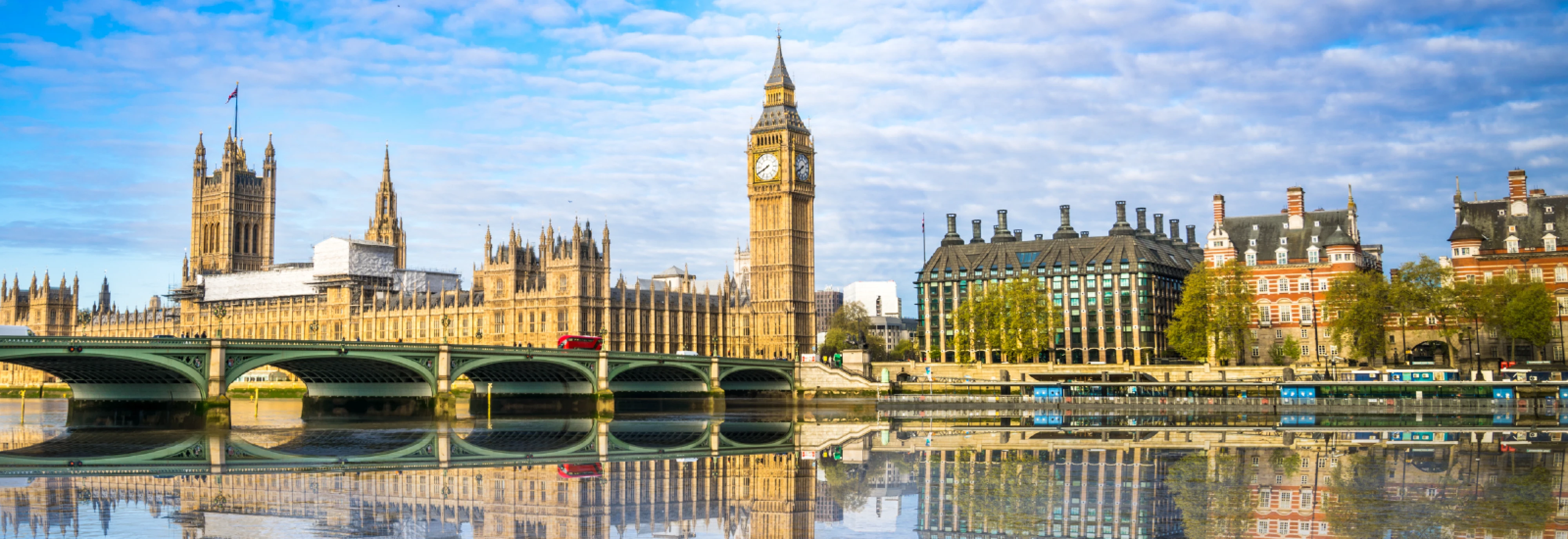 IMS_INTA-Annual-Meeting_2604_Banner (1)