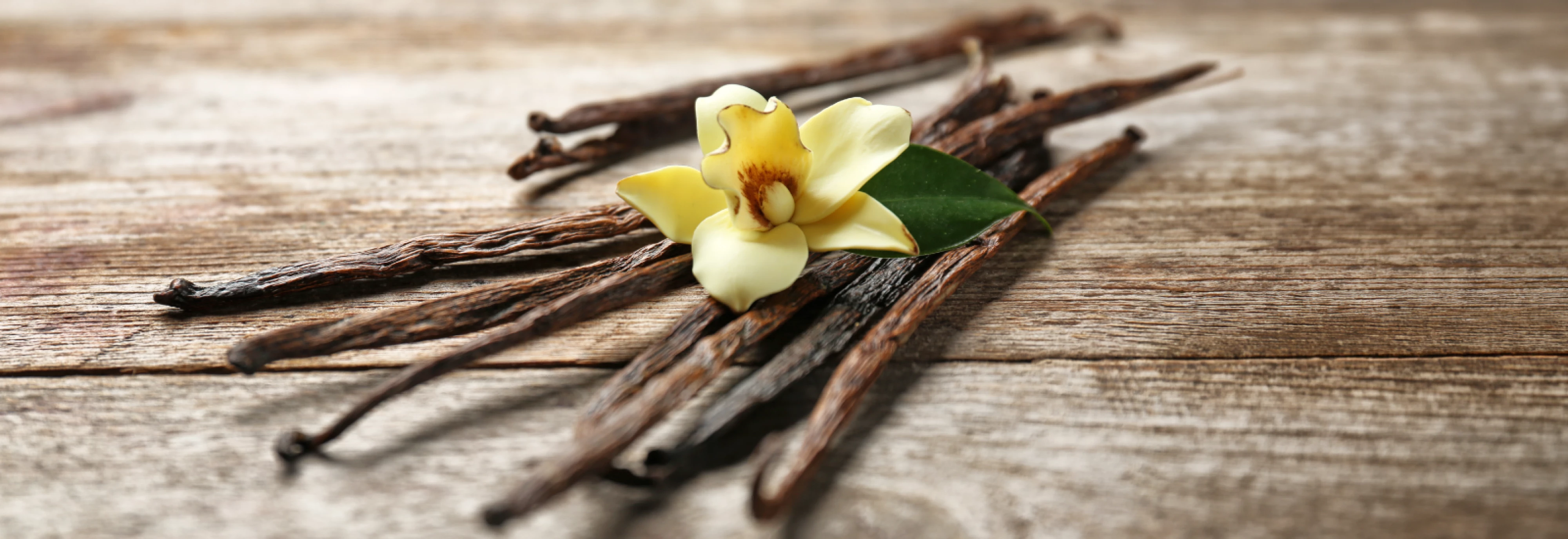 IMS_MMR-Blog_Breyers-Vanilla_2604_Banner