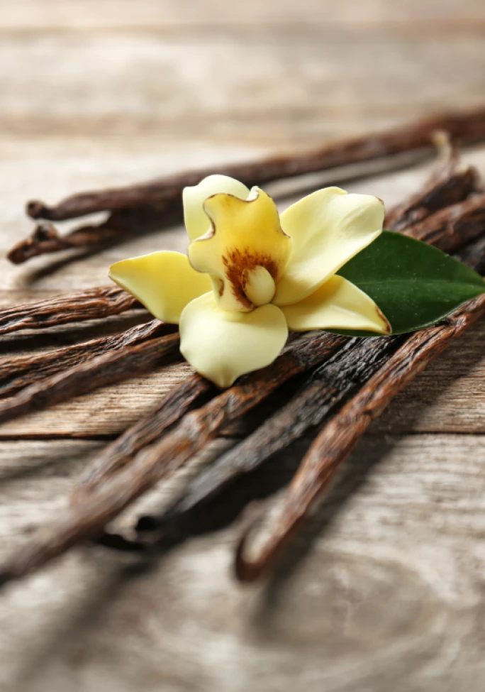 IMS_MMR-Blog_Breyers-Vanilla_2604_Preview